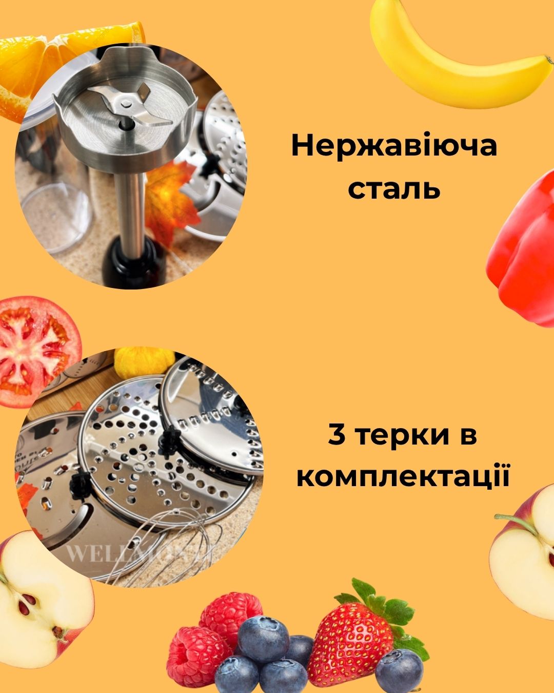 Блендер Monte